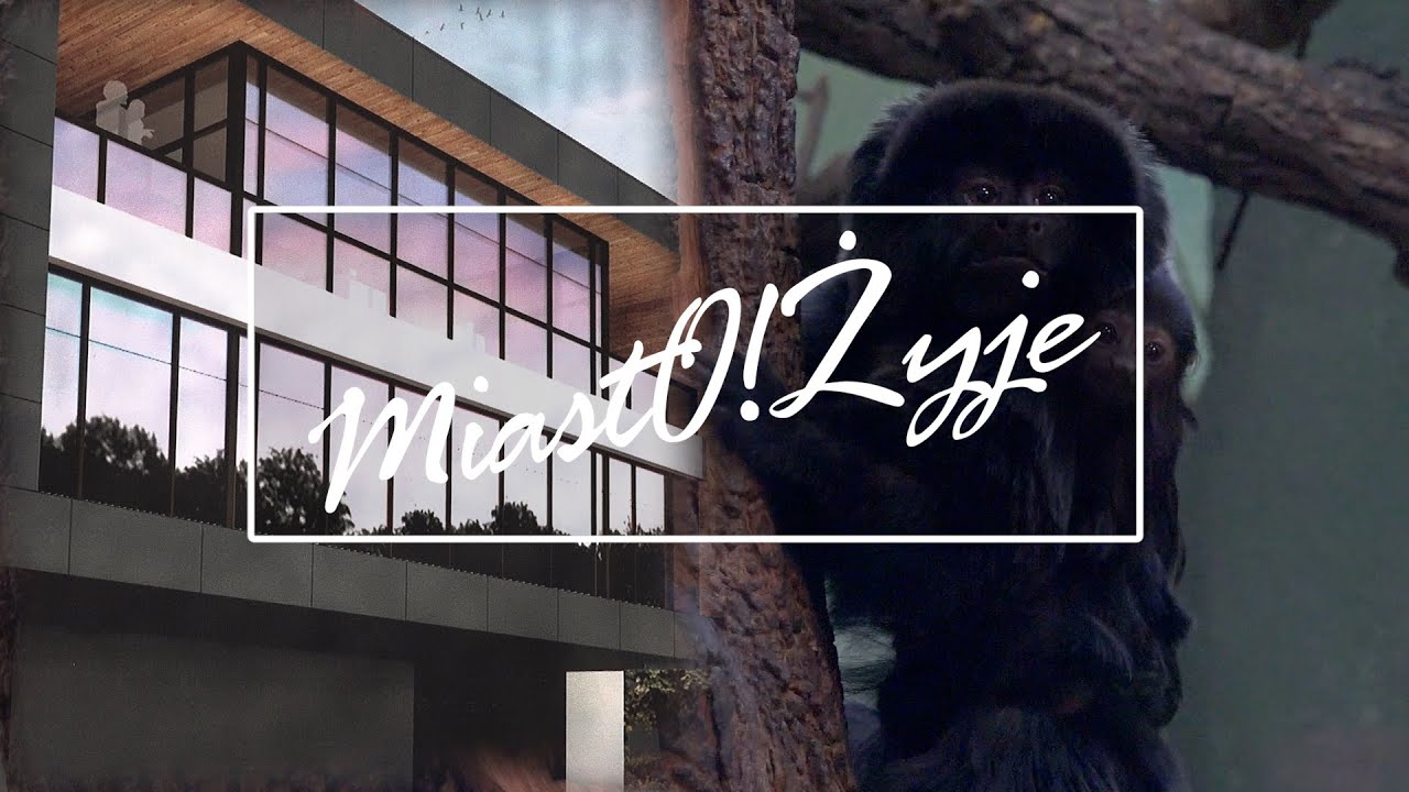 MiastO! Żyje 503 881 NOWY INWESTOR W PPP T, NOWI MIESZKAŃCY ZOO