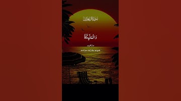 #سوره أل عمران الذينا يقولون ربنا أننا أمنا فغغر لنا ذنوبنا وقنا عذاب النار 🕌🤍💌♥️🌺🌸🌹