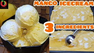 Mango Marble Ice Cream|Mango Ice Cream Recipe|Homemade Ice Cream (Only 3 Ingredients)|Art of Cooking