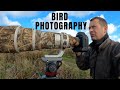 BIRD | WILDLIFE PHOTOGRAPHY | PHOTOGRAPHING BIRDS OF PREY | Hen Harriers, Falcons, Owls and Buzzards