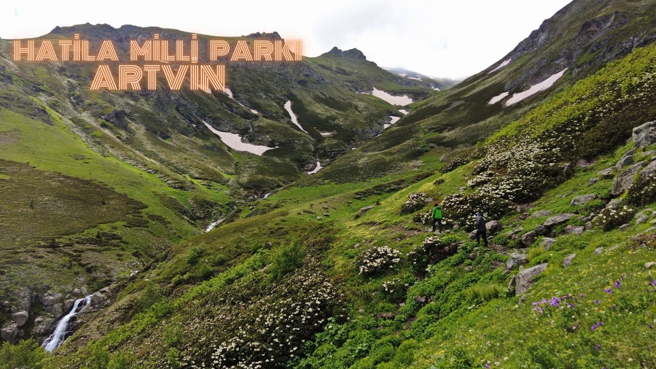 Hatila Vadisi-Gevul Yaylası/ARTVİN (Hiking in the eastern black sea region/TÜRKİYE)