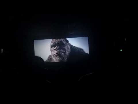 GODZILLA X KONG: the new empire ( pelea final completa )