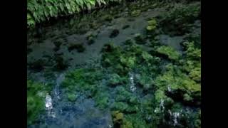 Don't Cry Frequency ～Steps For AIR