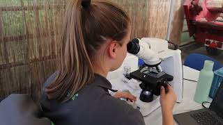 Download Lagu Novisem bedrijfsvideo compleet MP3