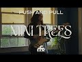 Mini Trees - "Push and Pull" (Official Lyric Visualizer) Mp3 Song