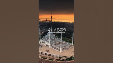 الآية 38 - 39 من سورة إبراهيم #القرآن_الكريم #قران #قران_كريم #قرآن #قرآن_كريم #اكسبلور #لايك #فولو
