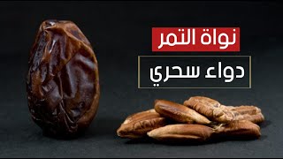 نواة التمر .. غذاء مفيد ودواء سحري