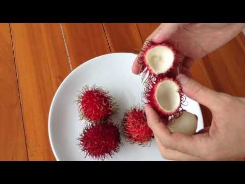 Video: Pitahaya Dragon Fruit: Nasveti za gojenje dreves zmajevega sadja