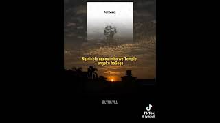 Kelvin Momo And Da Muziqal Chef  Bo Gogo ft Tracy Thatohatsi