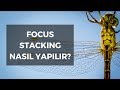 Focus Stacking Nedir? Nasıl Yapılır? | Uygulamalı Anlatım