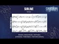 Sublime - Fhop Music 🎺Partitura Melódica Sax Alto, Sax Tenor, Sax Soprano, Clarinete, Flauta🎼