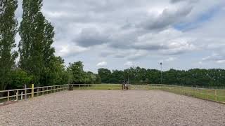 BE Novice 112 dressage test