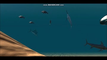 Unity saltwater fish complete pack