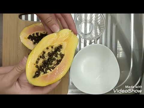 HOW TO GROW A PAPAYA FROM SEED! Отглеждане на папая от семка