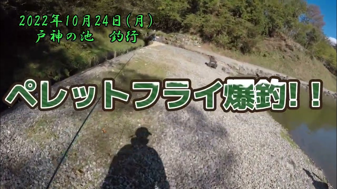 ペレットフライ爆釣!！
