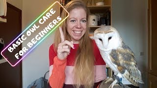 BASIC OWL CARE FOR BEGINNERS DO'S & DONT'S