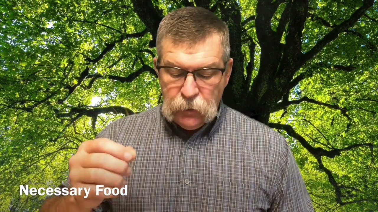 The Spirit of adoption - Romans 8:9-17