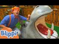 Blippi Learns about Jungle Animals! | Learn About Animals for Kids | Educational Videos for Toddlers