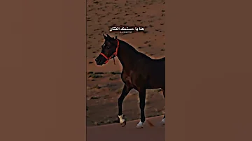 أداء طلال العارف أجمل شيله غزل وباحسن ايه 
