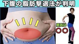 【ぽっこりお腹解消】しつこい下腹贅肉の原因は●●だった【見ないと一生太いまま...】