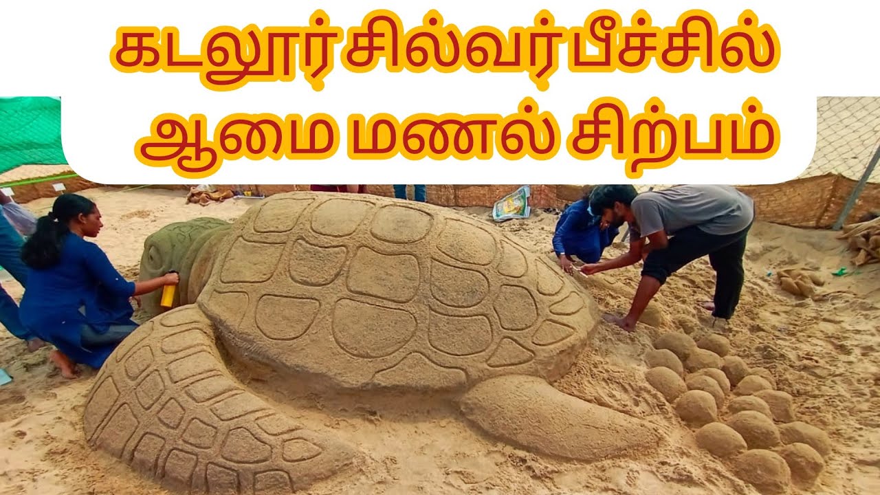 கடலூர் சில்வர் பீச்சில் ஆமை மணல் சிற்பம்