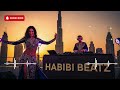 Yalla Habibi Shadow City – Balkan Arabic Electro Night 2026 🌑