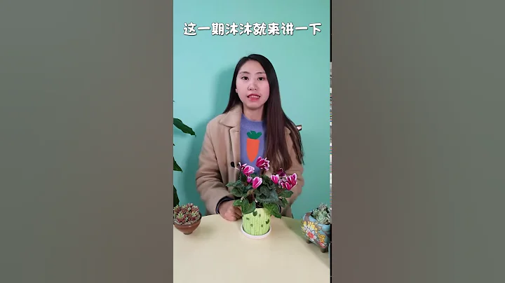 仙客来那么美，怎样才能延长观赏期 - 天天要闻