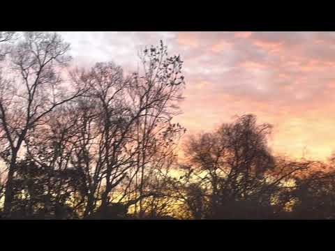 Pink Sky on Valentine's Morning