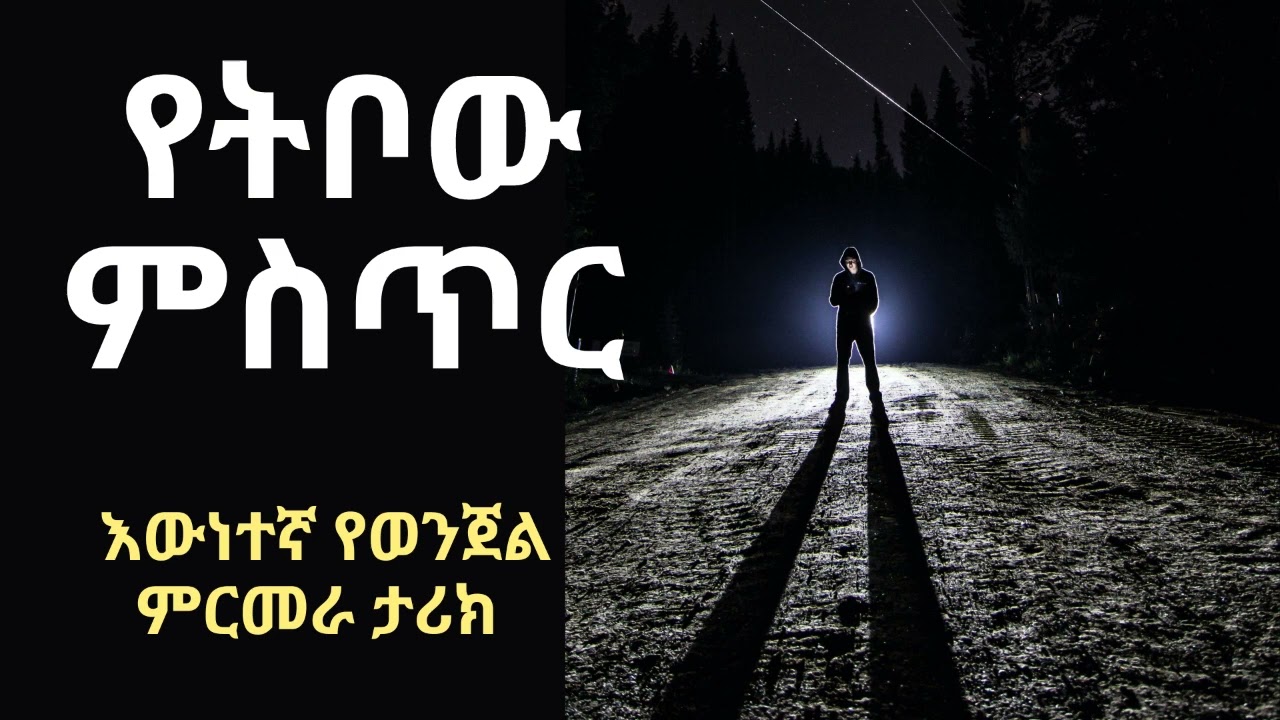 የትቦው ምስጥር እውነተኛ የወንጀል ምርመራ ታሪክ ፤