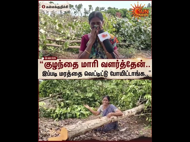 Emotional | “குழந்தை மாரி வளர்த்தேன்.. இப்படி மரத்தை வெட்டிட்டு போயிட்டாங்க" | Kallakurichi