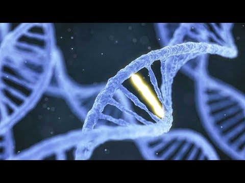 Video: New Neural Network Predicts Growth And Formation By DNA - Alternative View