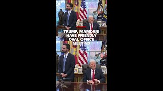 Donald Trump, Zohran Mamdani have warm Oval Office meeting