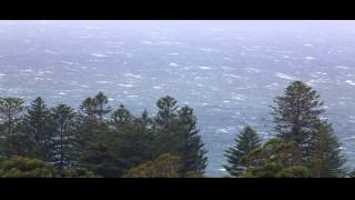 Stormy Day In Thirroul