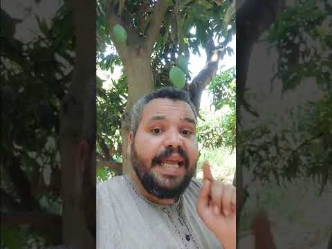 المانجا الطبيعية