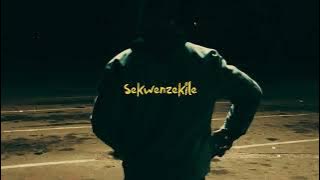 Sekwenzekile (Late Night) Official Visualizer
