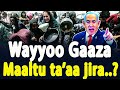 ЁЯШнODUU GADD SIISAAЁЯШн Beela Fi Waraana Uummata Gaazaa Booda Filisxeemiif Ifa JiruЁЯШе CHRISTIAN MEDIA ЁЯШнODUU GADD SIISAAЁЯШн Beela Fi Waraana Uummata Gaazaa Booda Filisxeemiif Ifa JiruЁЯШе CHRISTIAN MEDIA
