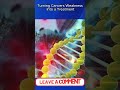 Turning Cancer’s Weakness Into a Treatment