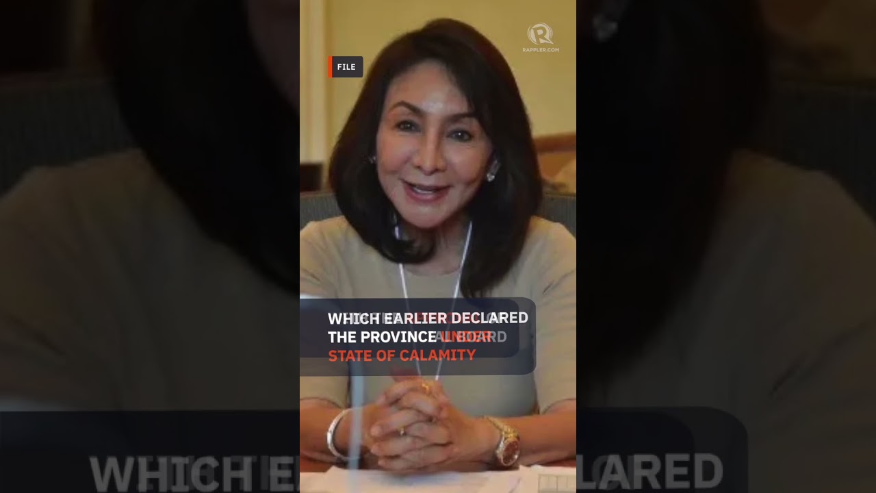 Ombudsman orders preventive suspension of Cebu Governor Gwen Garcia