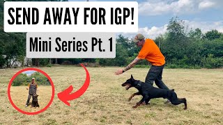 Teaching Your Dog the Send Away for IGP! Mini Series Pt. 1 of 4