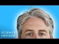 Understanding Hair Graying