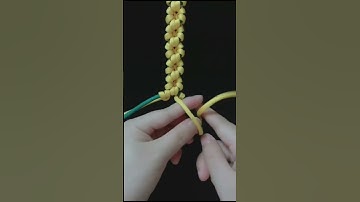 Flores na corda (MACRAMÊ LINDO)