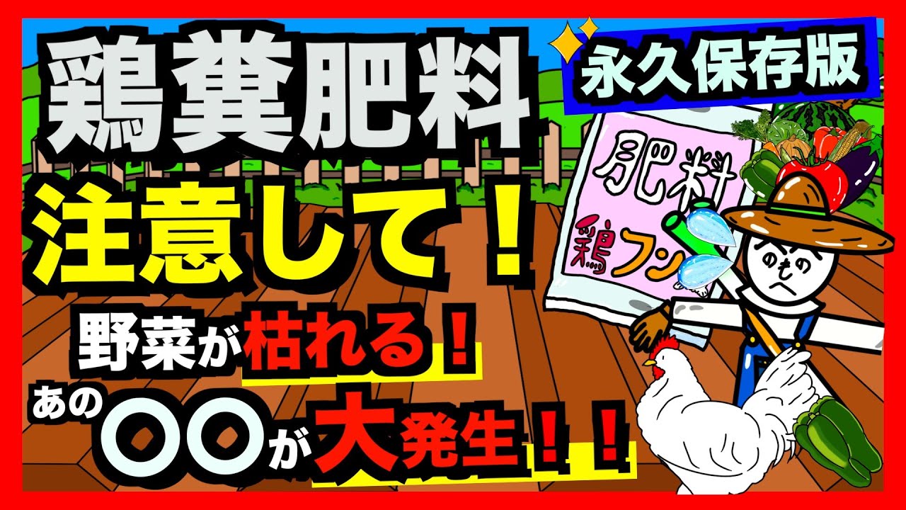【注意】鶏糞肥料の注意点！野菜づくりで鶏糞を選ぶ時はここを要チェックしてください！【アニメでわかる家庭菜園解説】