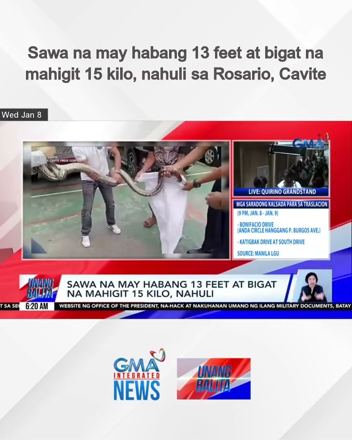 Sawa na may habang 13 feet at bigat na mahigit 15 kilo, nahuli sa Rosario, Cavite | Unang Balita