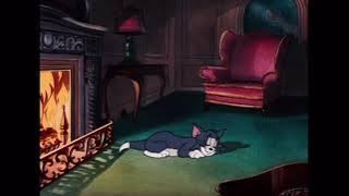 Tom’s sleeping next to the fire place for 10 hours