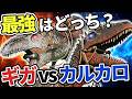 【徹底比較】どっちが強い?ギガノトサウルスvsカルカロドントサウルス【サバG検証部#1】【ARK/ASAゆっくり解説】