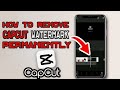 How to Remove CapCut Watermark Permanently