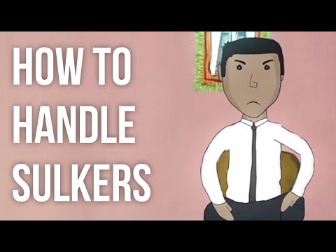 How to Handle Sulkers