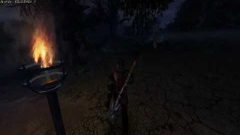 Server Gothic-multiplayer HusariaRP