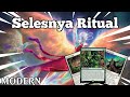 Has Shepard Been Unfairly Sidelined? | Selesnya Ritual | Modern | MTGO