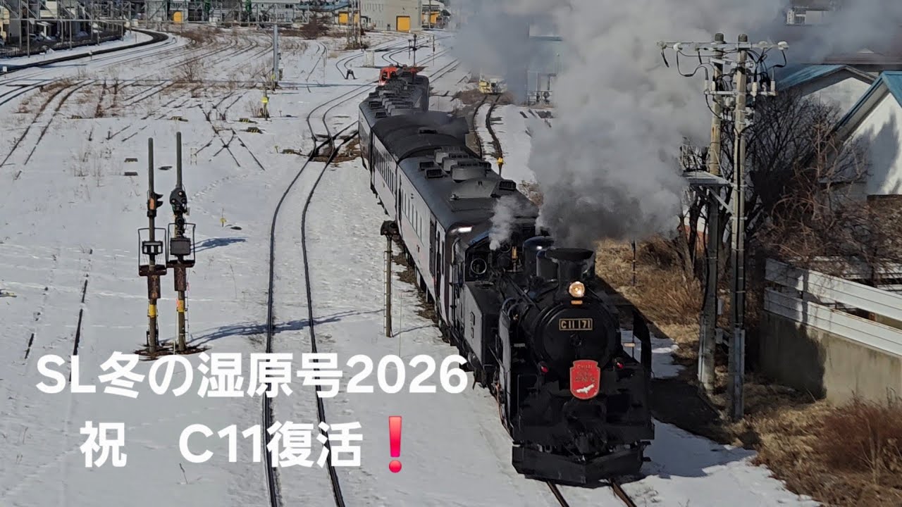 SL冬の湿原号2026　2月11日C11復活❕間もなく釧路駅入線です